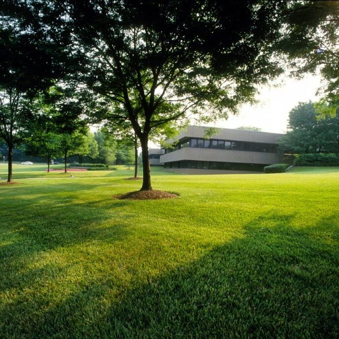 TurfCare Turf Management