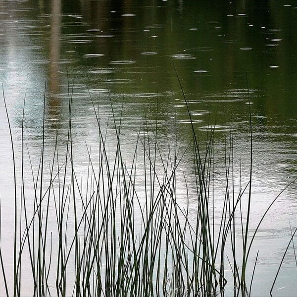stormwater-pond